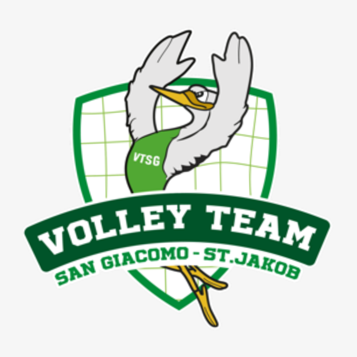Volley Team San Giacomo