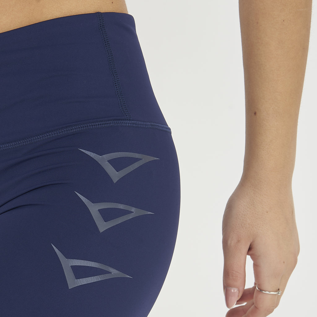 Larissa Fitness Leggings
