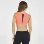 Top Fitness Gun